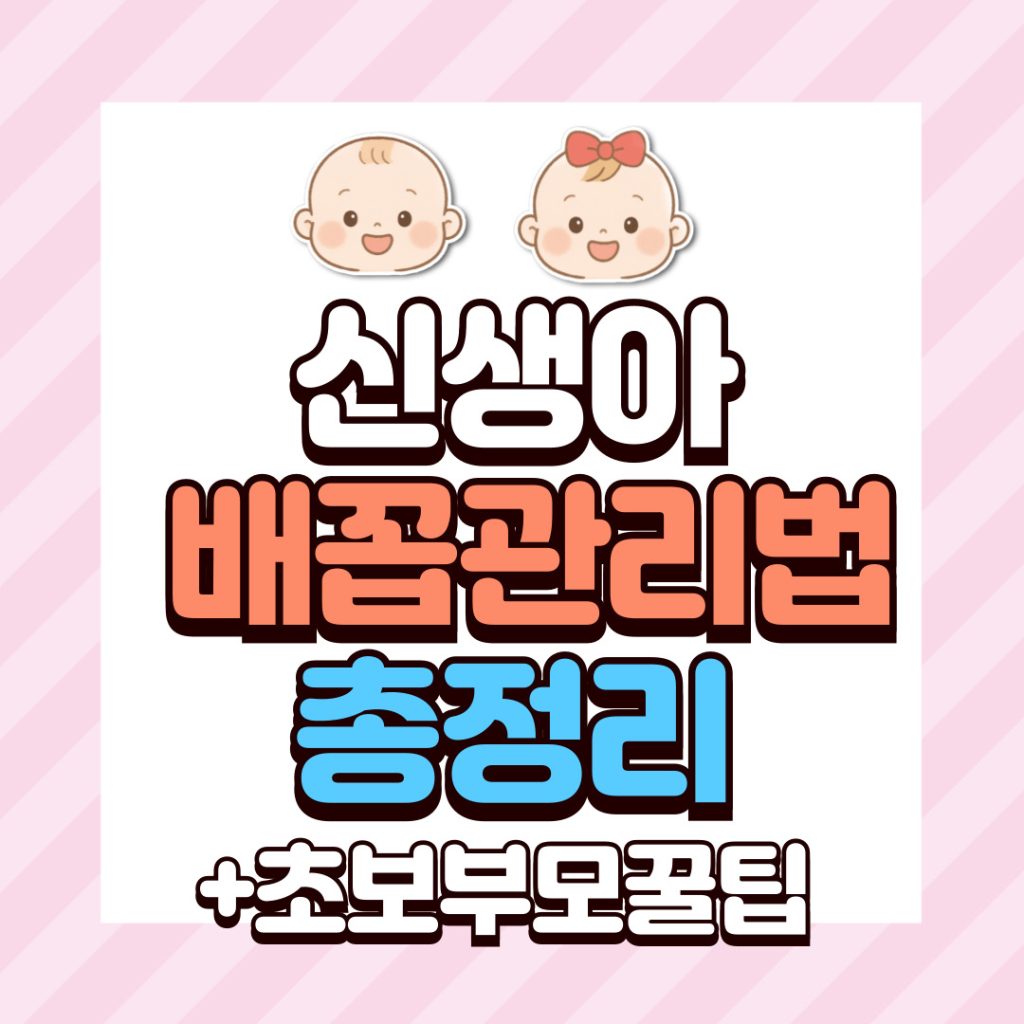 신생아 배꼽관리법 총정리