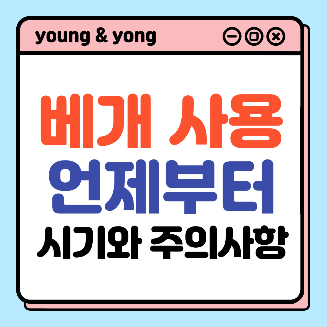 베개 사용 언제부터