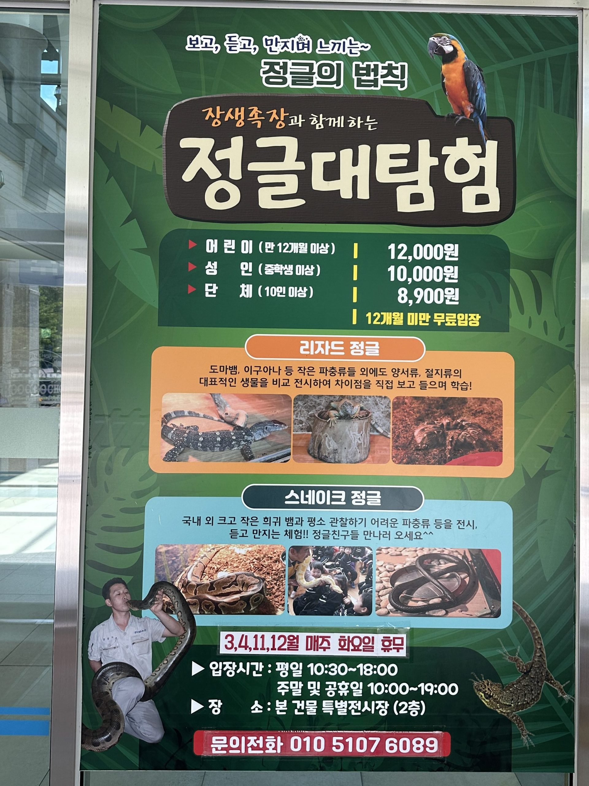 하이원 추추파크 정글대탐험 후기1 edited 1 scaled