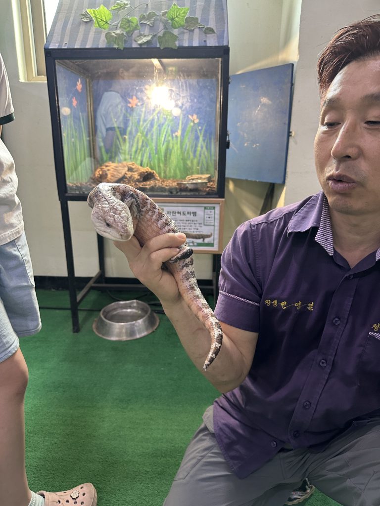 하이원 추추파크 정글대탐험 후기13