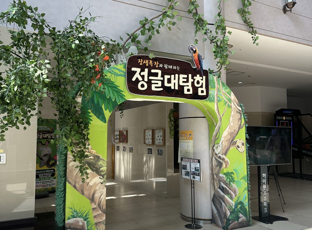 하이원 추추파크 정글대탐험 후기 – 아이와 함께한 강원도 동물 체험 여행