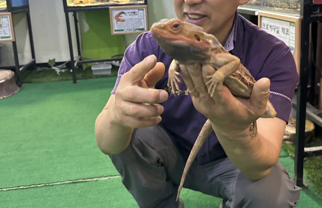 하이원 추추파크 정글대탐험 후기33
