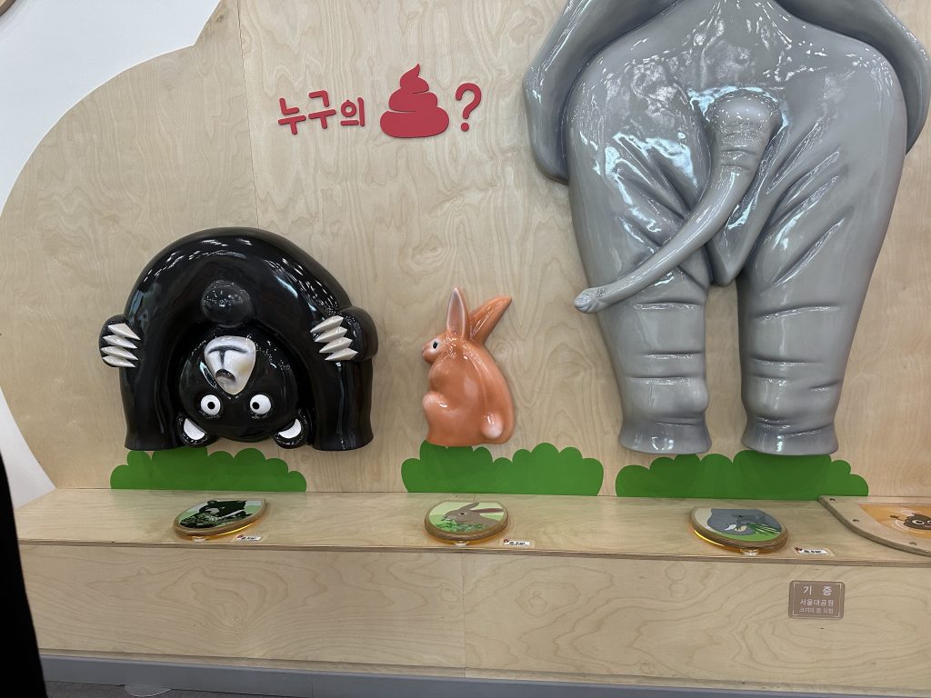 국립과천과학관 유아체험관43