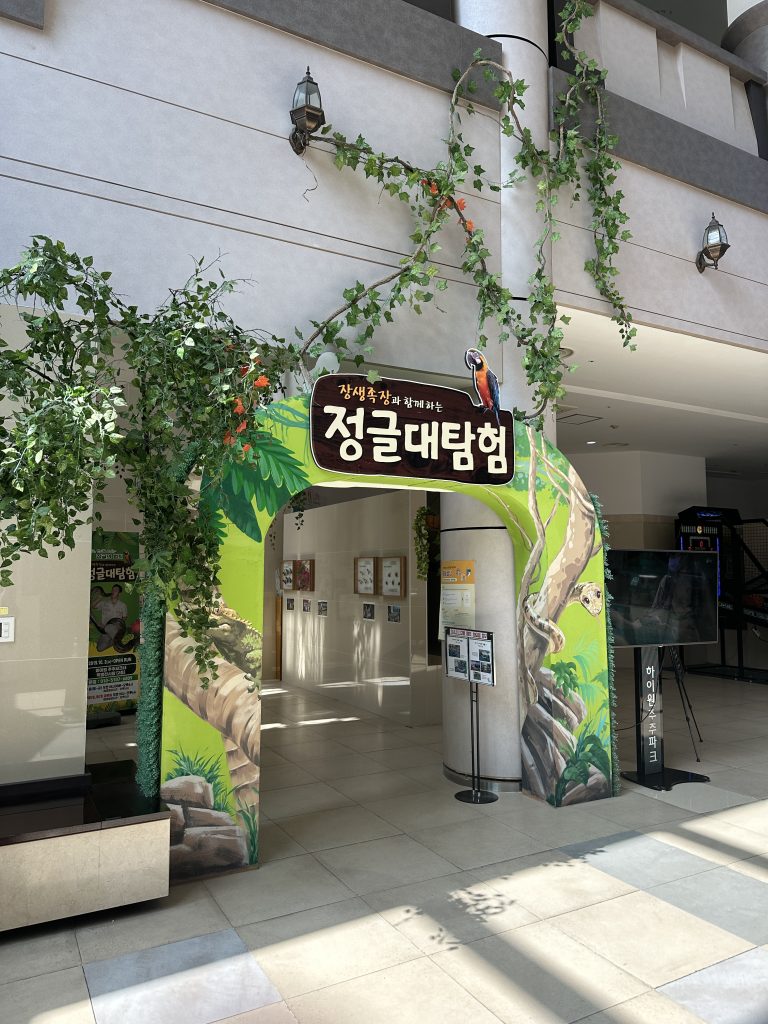 태백 하이원 추추파크 숙박 후기16