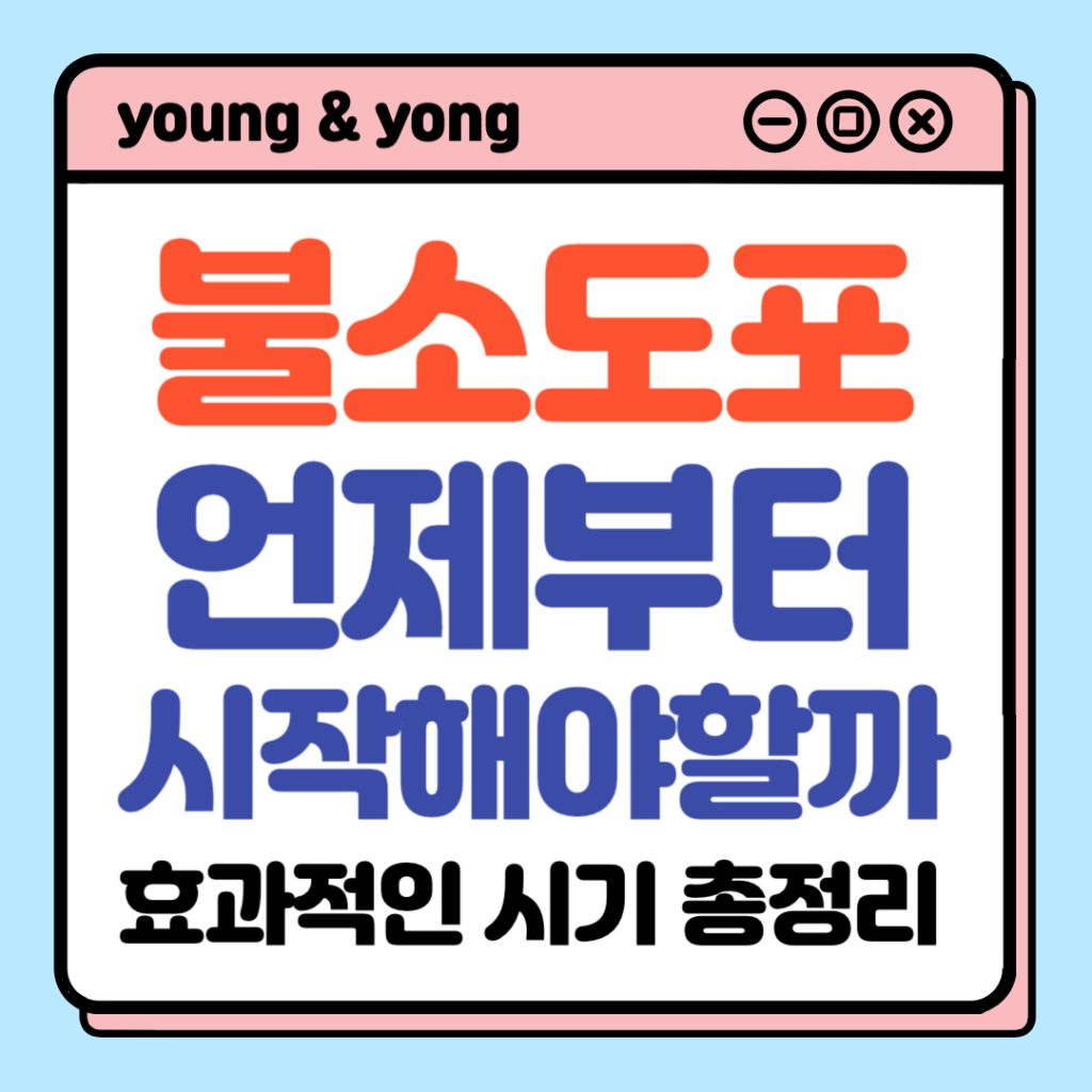 아기 불소도포 언제부터