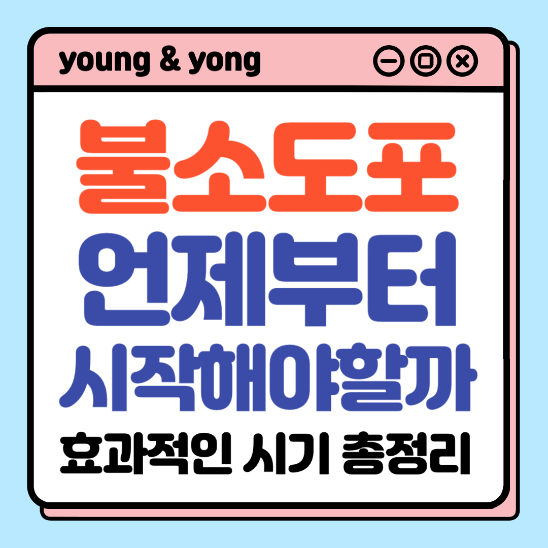 아기 불소도포 언제부터