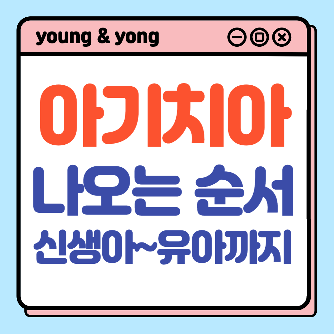 아기-치아-나는-순서_배너