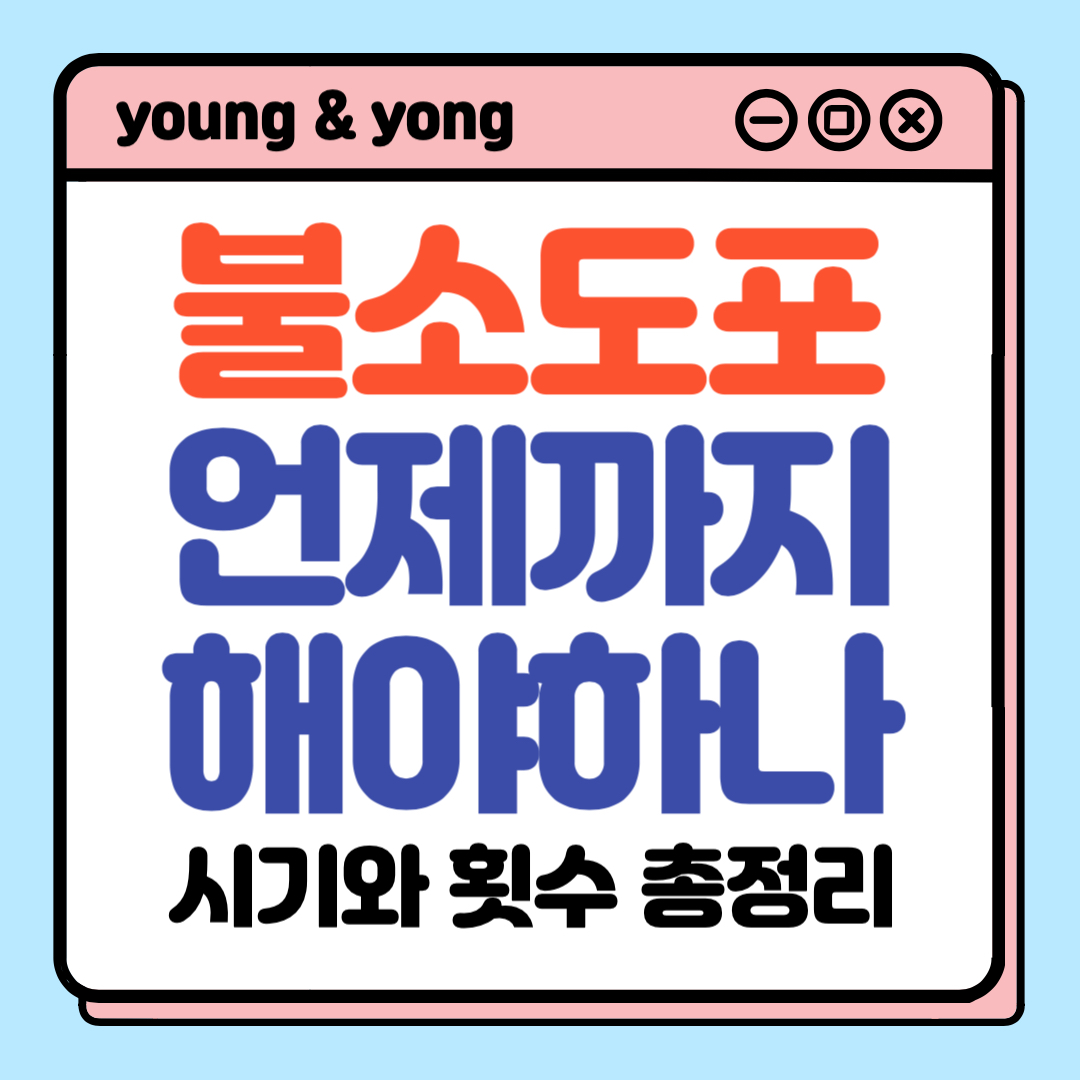 배너