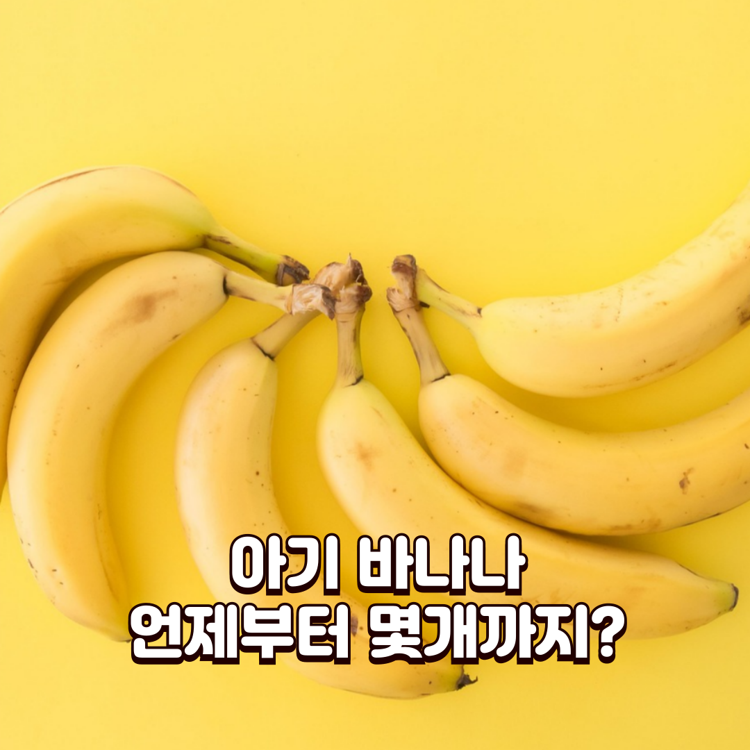 아기 바나나 언제부터 몇개까지