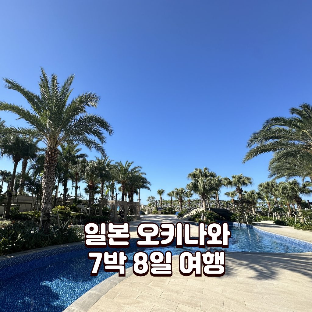 아이와 오키나와 7박8일