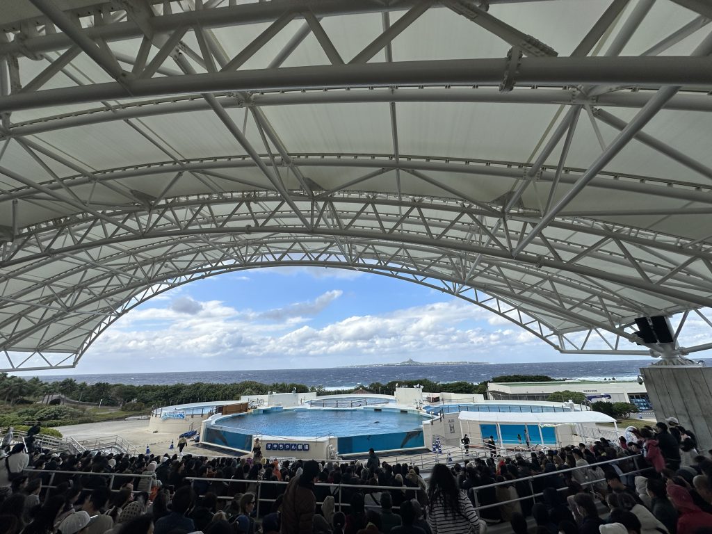 오키나와 렌터카