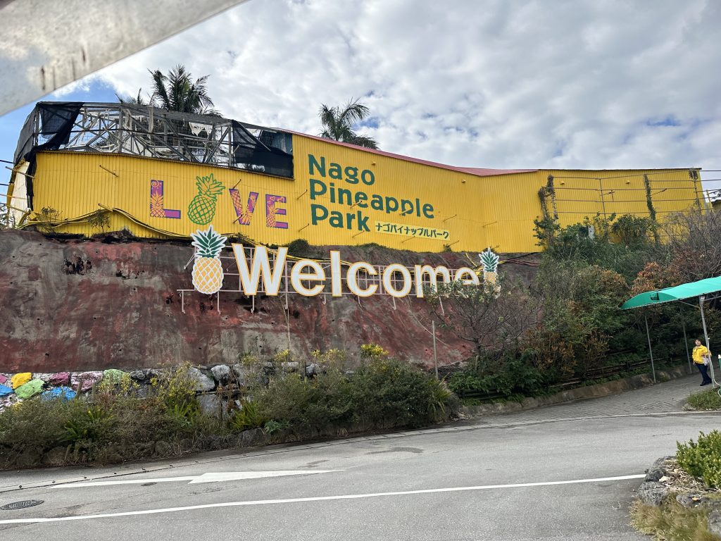 일본 오키나와 파인애플 파크