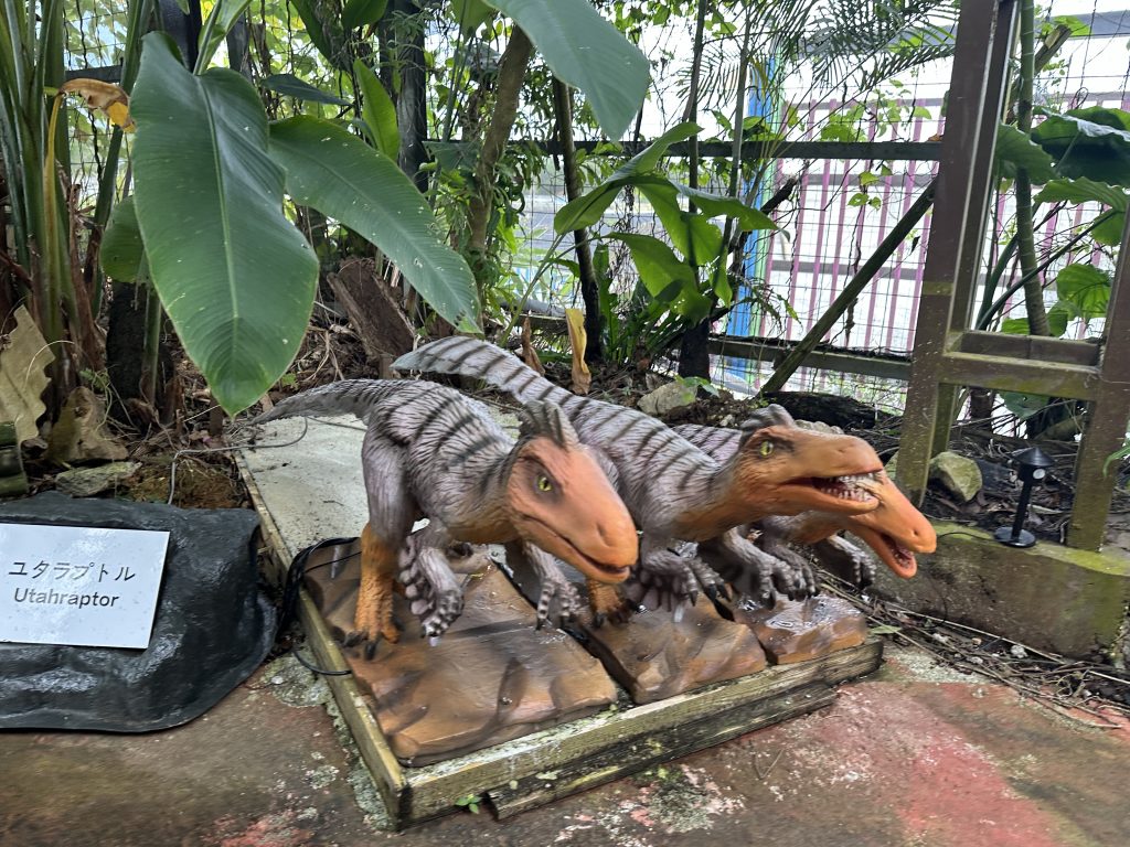 나고 파인애플파크22