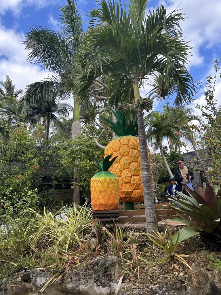 나고 파인애플파크24