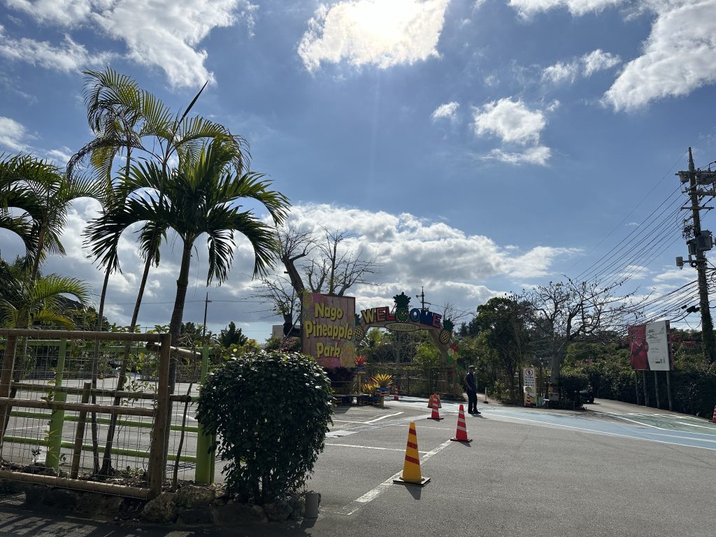 나고 파인애플파크35