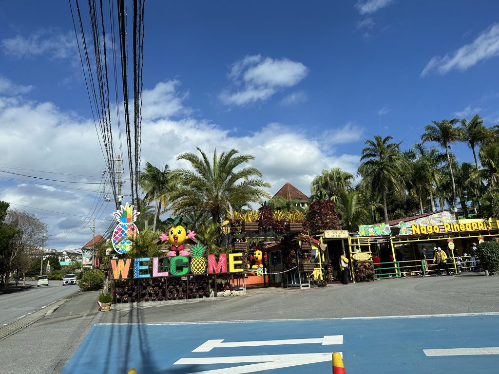 나고 파인애플파크36