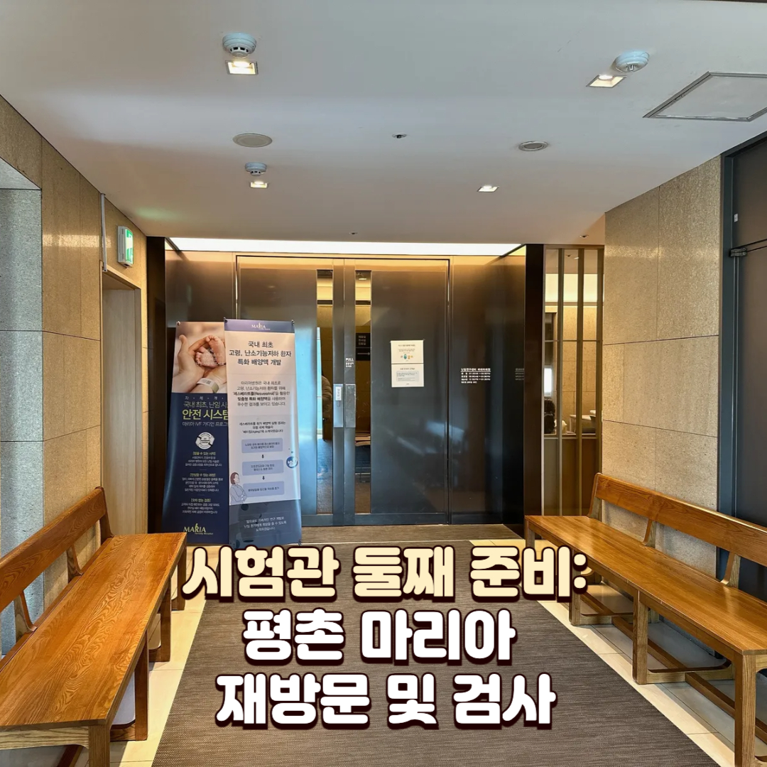 시험관 둘째 준비