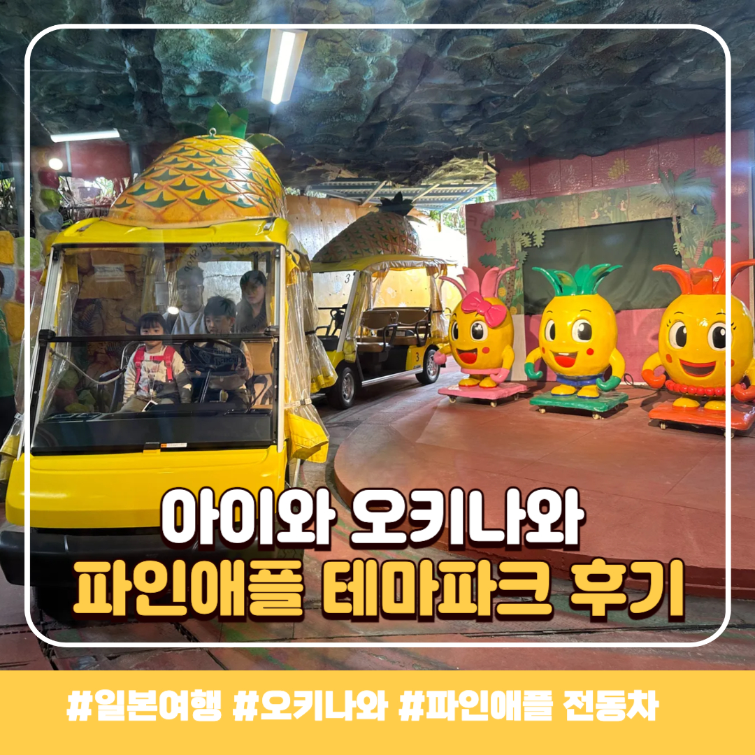 일본 오키나와 파인애플-파크_배너