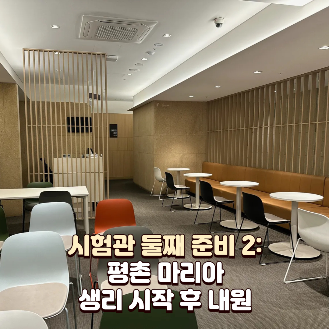 평촌마리아_배너2